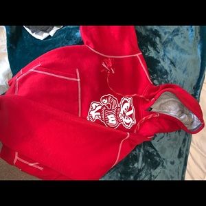 Wisconsin Badger Hoodie